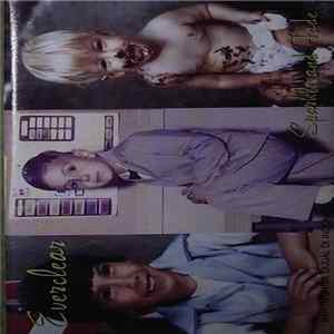 Everclear - Sparkle And Fade FLAC