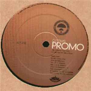 Noisia / Spinor - Masada / Lifeless FLAC