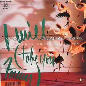 Christopher Cross Duet With Frances Ruffelle - I Will (Take You Forever) FLAC