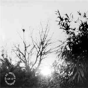 Benjamin Renard - In a Glass Darkly FLAC