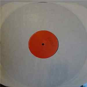 Vertigo - Promised Land FLAC