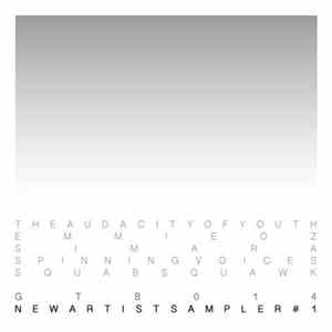 Various - New Artist Sampler #1 FLAC