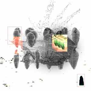 Crown Shyness - Isonautics FLAC