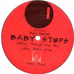 Theo Parrish - Baby Steps FLAC