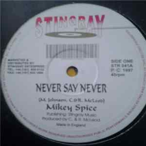 Mikey Spice - Never Say Never FLAC