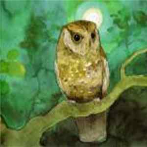 Sleeping At Last - Storyboards FLAC