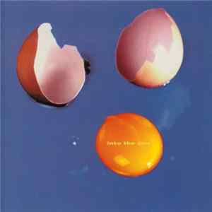 Looplizard - Into The Sun FLAC