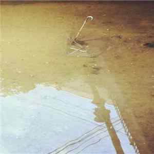 Strange Mountain - Faith Mirrors FLAC