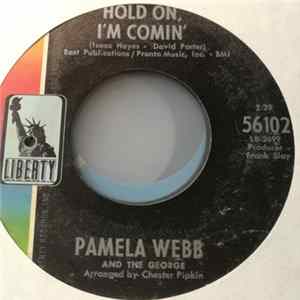 Pamela Webb And The George - Hold On, I’m Comin’ / Peter O’Toole FLAC