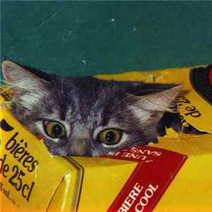 The Fairweather Band - Meow FLAC