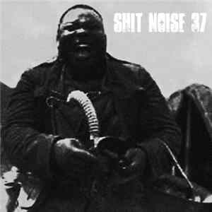 Various - Shit Noise 37 FLAC