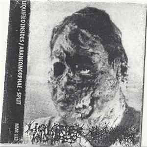 Liquified Insides / Araneomorphae - Split FLAC