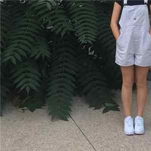 Louis Rain - Genreless FLAC
