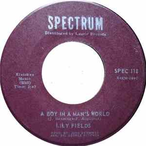 Lily Fields / Lily Fields and Hoagy Lands - A Boy In A Man's World FLAC