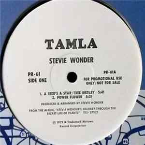Stevie Wonder - A Seed's A Star / Tree Medley FLAC