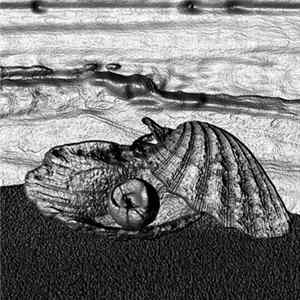 Eric Stratos - Pearl FLAC