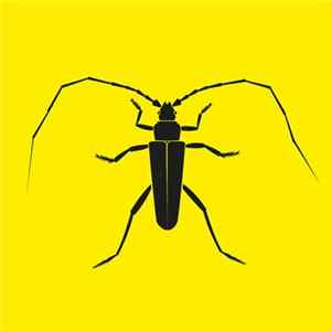 Acid Up Dub - Longhorn Beetle EP FLAC