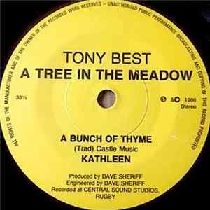 Tony Best - A Tree In the Meadow FLAC