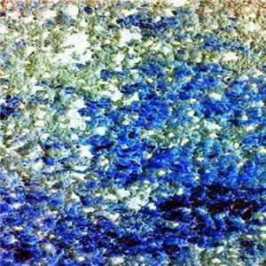 Disgorged Faeces + DN23rd - Collaboration FLAC