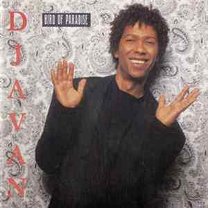 Djavan - Bird Of Paradise FLAC