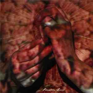 Water Liars - Phantom Limb FLAC