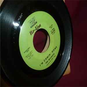 The De-lights - One Two Button My Shoe FLAC