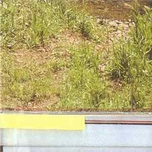Taiga Remains - Moon Colored Dogs FLAC