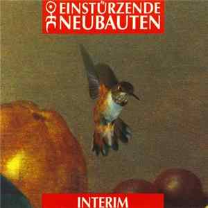 Einstürzende Neubauten - Interim FLAC