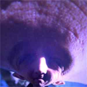 A Bit Crusher - The World Is Flat FLAC