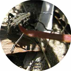 Artificial Memory Trace - Chitin FLAC