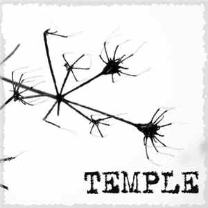 Temple - Раствор FLAC