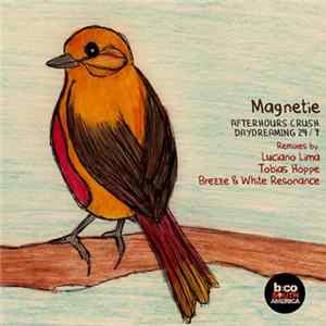 Magnetie - Afterhours Crush FLAC