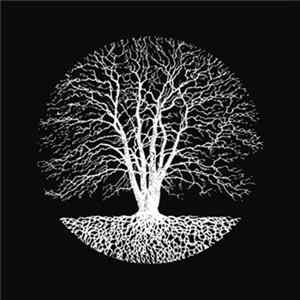 Various - Wandering Compilation FLAC