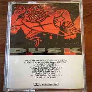The The - Dusk FLAC