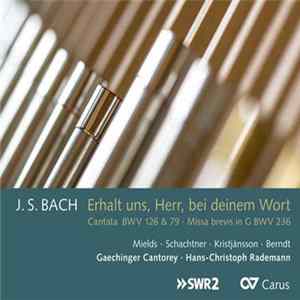 J.S. Bach, Dorothee Mields, Benno Schachtner, Benedikt Kristjánsson, Tobias Berndt, Gaechinger Cantorey, Hans-Christoph Rademann - Erhalt Uns, Herr, Bei Deinem Wort FLAC