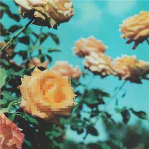 Globe - Relation FLAC