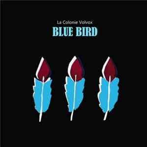 La Colonie Volvox - Blue Bird FLAC