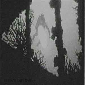 Damolh33 - Diving FLAC