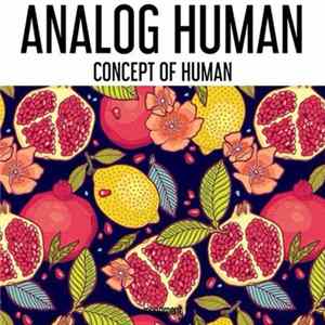 Analog Human - Concept Of Human FLAC