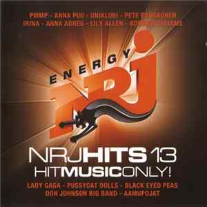 Various - NRJ Hits 13 FLAC