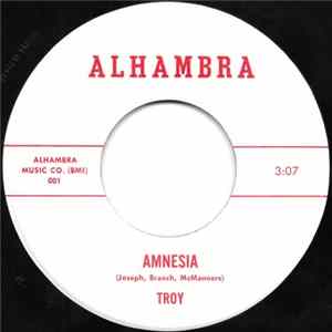 Troy - Amnesia FLAC