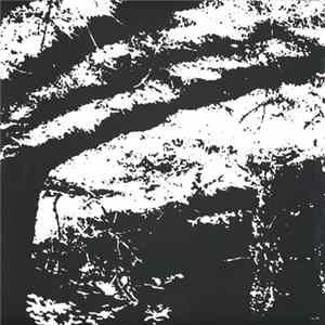 Reggy Van Oers - Transcranial FLAC