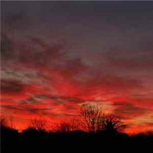 Raising Holy Sparks - Sadhu FLAC