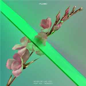 Flume Feat. Kai - Never Be Like You - Remixes FLAC