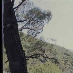 Ekin Fil - Reds FLAC