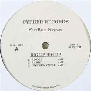 FlatBush Natives - Big Up Big Up / Time To Roll Up FLAC