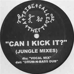A Tribe Called Theft - Can I Kick It? (Jungle Mixes) FLAC