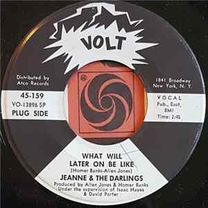 Jeanne & The Darlings - What Will Later On Be Like FLAC
