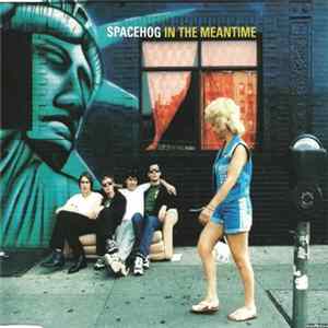 Spacehog - In The Meantime FLAC