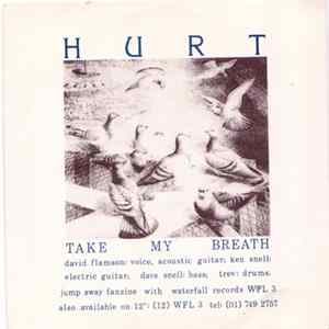 Hurt / Little Red Schoolhouse - Take My Breath / Aged Bee FLAC